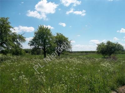 Działka na sprzedaż Cegłów