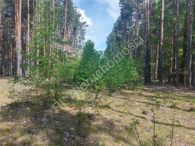 Działka na sprzedaż Strugi Krzywickie