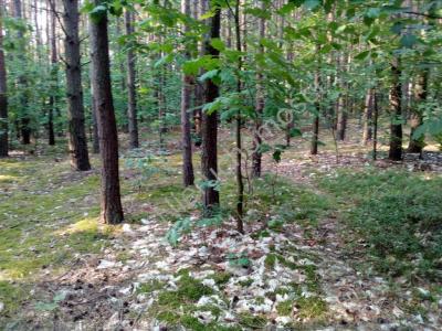 Działka na sprzedaż Drożdżówka