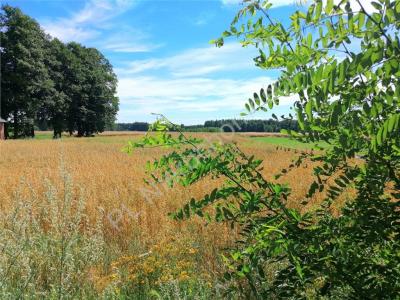 Działka na sprzedaż Ludwinów