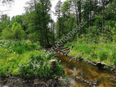 Działka na sprzedaż Kiczki Pierwsze