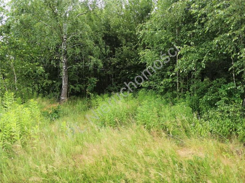 Działka na sprzedaż Stare Zakole