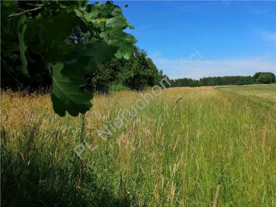 Działka na sprzedaż Trojanów