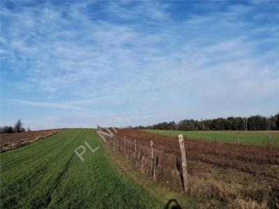 Działka na sprzedaż Borówek