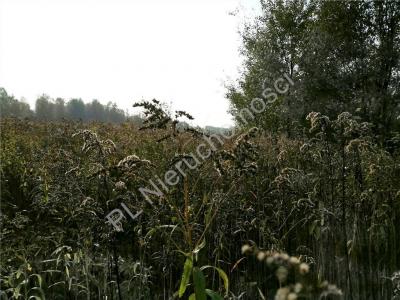 Działka na sprzedaż Rakówiec