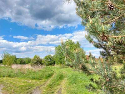 Działka na sprzedaż Krzewina