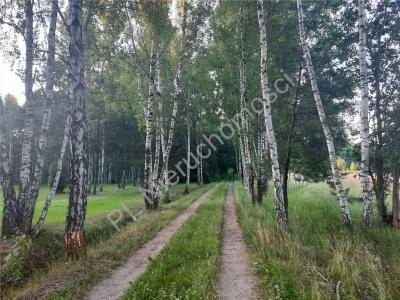 Działka na sprzedaż Kolonie Stanisławów