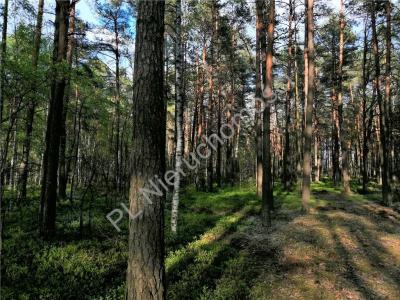 Działka na sprzedaż Kąty-Borucza