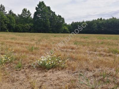 Działka na sprzedaż Rudzienko