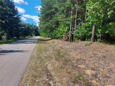 Działka na sprzedaż Strugi Krzywickie