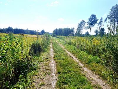 Działka na sprzedaż Celinów