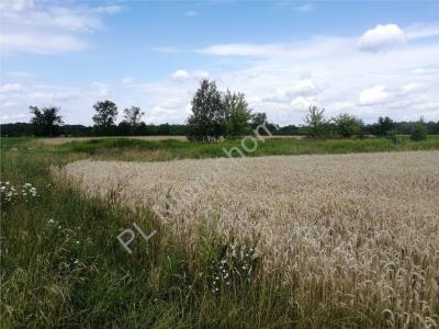 Działka na sprzedaż Dobre