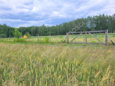 Działka na sprzedaż Piaseczno