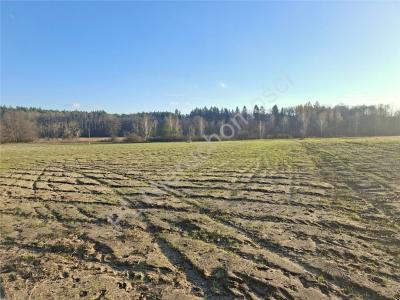 Działka na sprzedaż Gójszcz