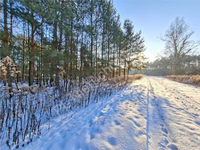 Działka na sprzedaż Targówka