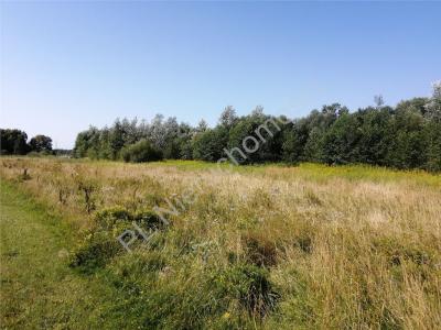 Działka na sprzedaż Zagórze