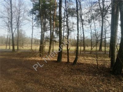Działka na sprzedaż Zalesie