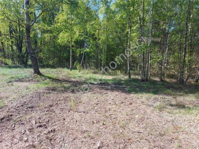 Działka na sprzedaż Rudzienko