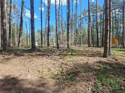 Działka na sprzedaż Osęczyzna