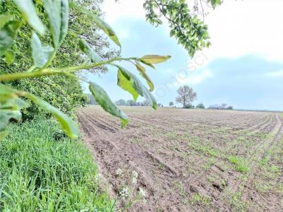 Działka na sprzedaż Latowicz
