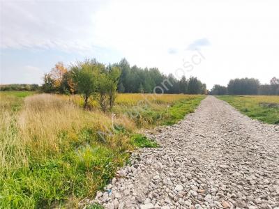 Działka na sprzedaż Brzóze
