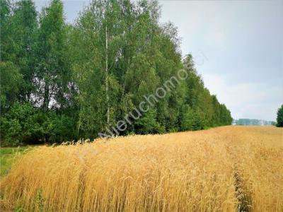 Działka na sprzedaż Glinianka