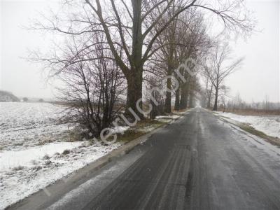 Działka na sprzedaż Siennica