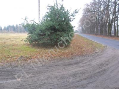 Działka na sprzedaż Kazimierzów