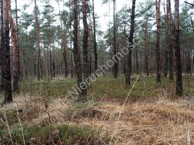 Działka na sprzedaż Turze