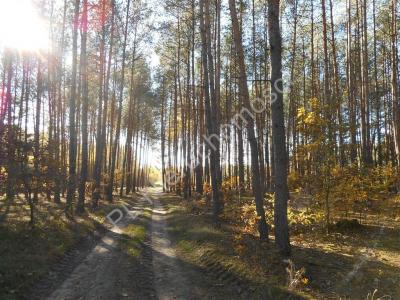 Działka na sprzedaż Borówek