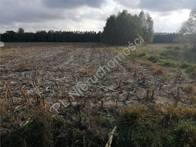 Działka na sprzedaż Strugi Krzywickie