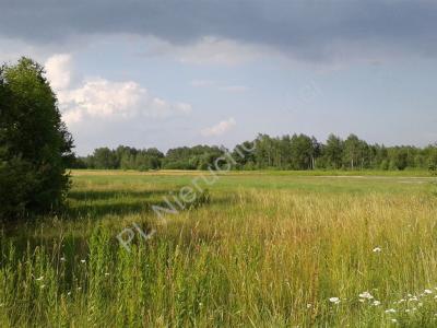 Działka na sprzedaż Mińsk Mazowiecki