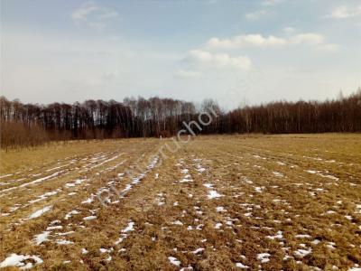 Działka na sprzedaż Wiśniew