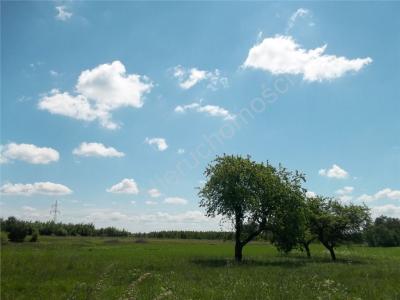 Działka na sprzedaż Cegłów