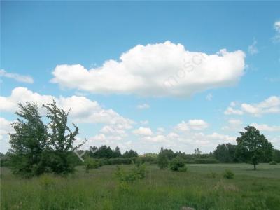 Działka na sprzedaż Sokolnik