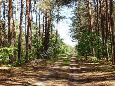 Działka na sprzedaż Wola Polska